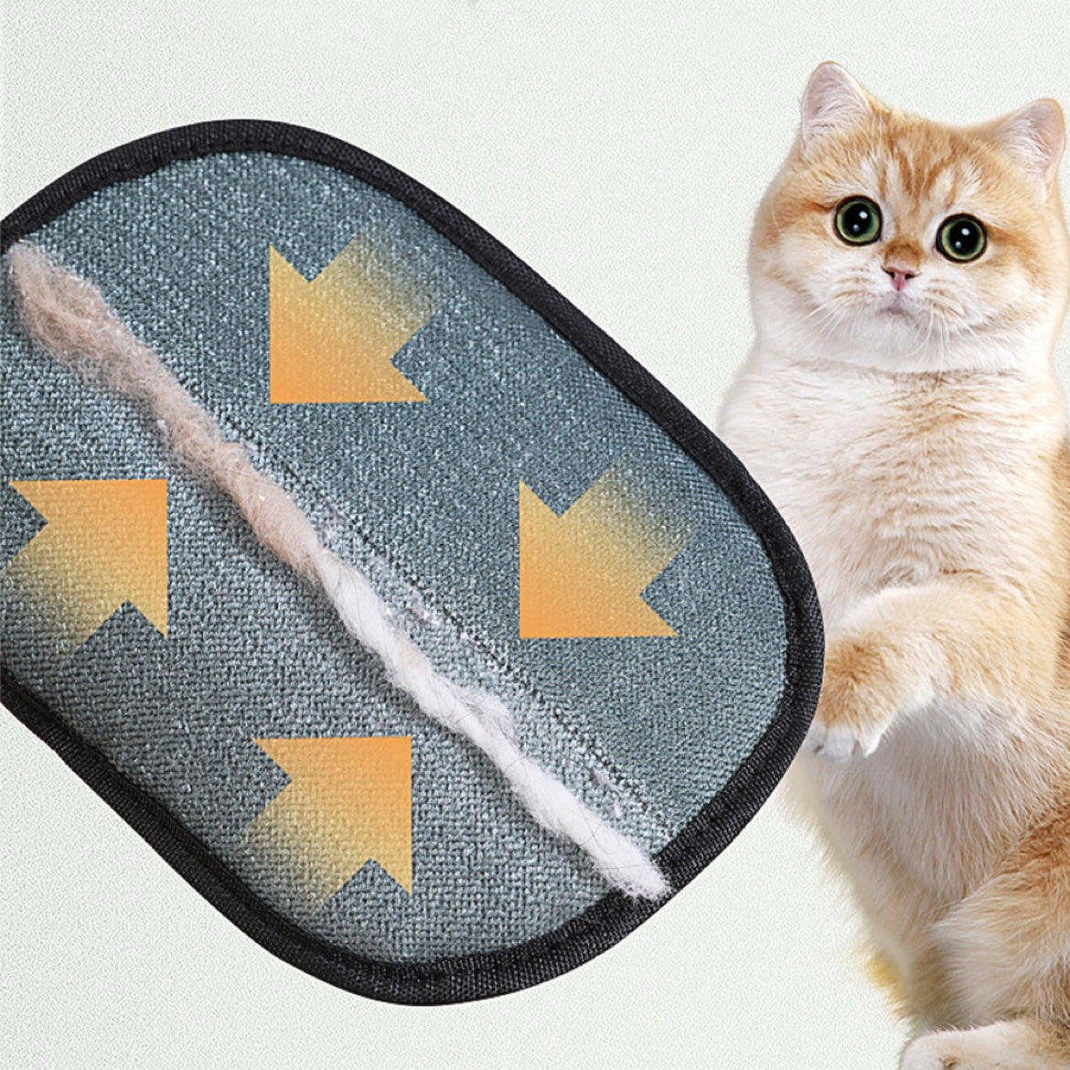Pet Hair Remover Mitt