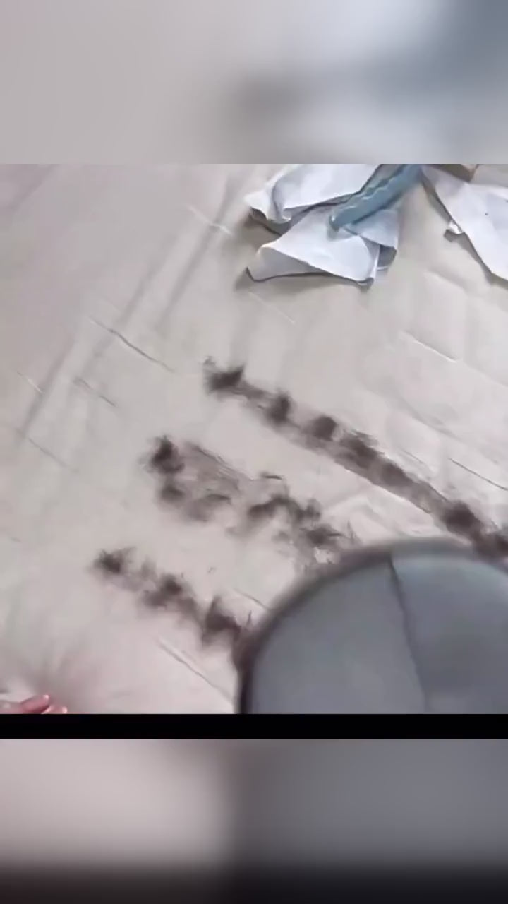 Pet Hair Remover Mitt - demo